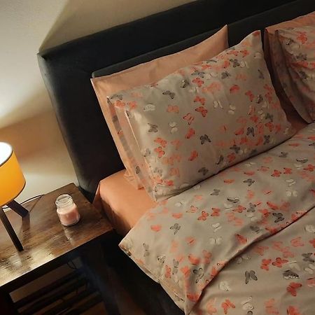 Apartment Kapo- Klima,Parking Сараєво Екстер'єр фото